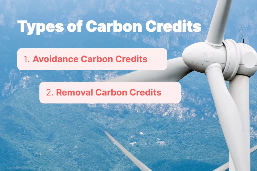 Two Key categoris of carbon Credits